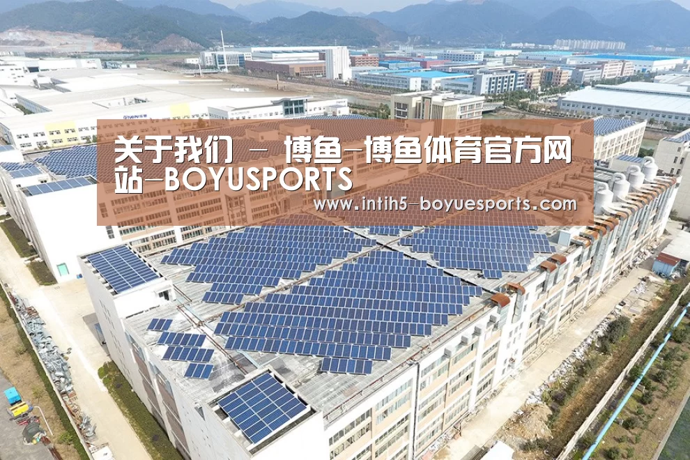 案例展示三
