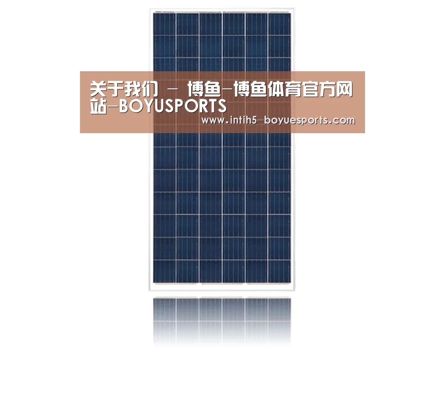 产品名称一