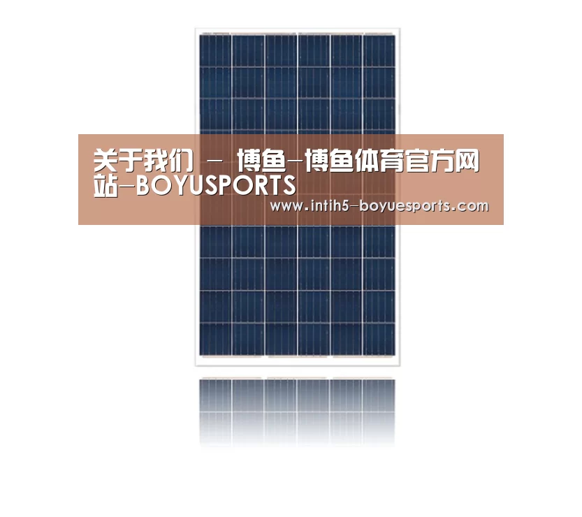 产品名称一
