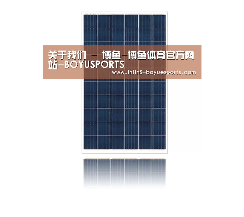 产品名称四