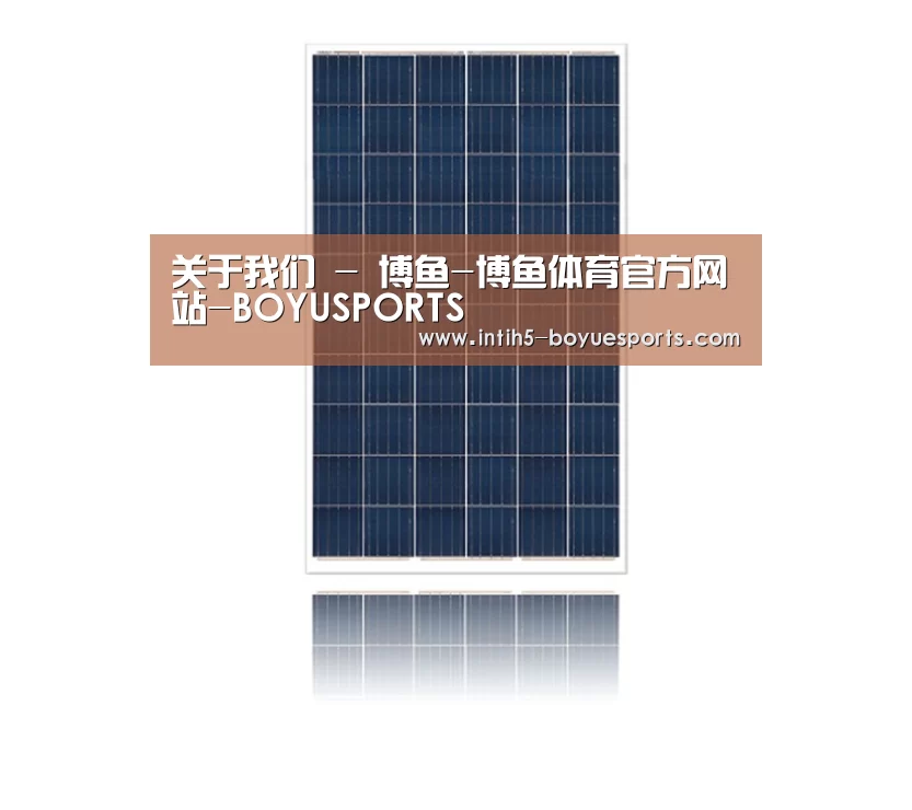 产品名称四