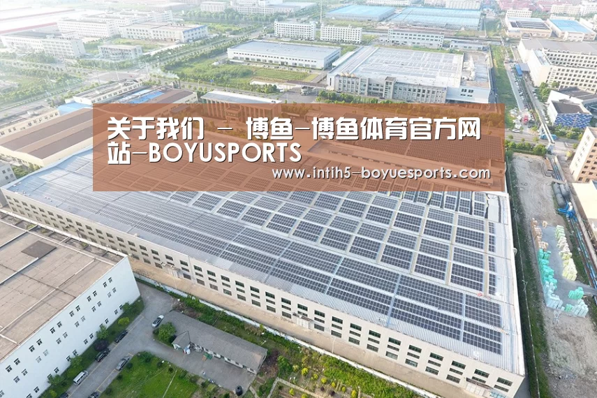 案例展示三