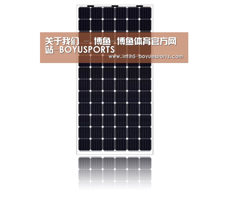 产品名称五