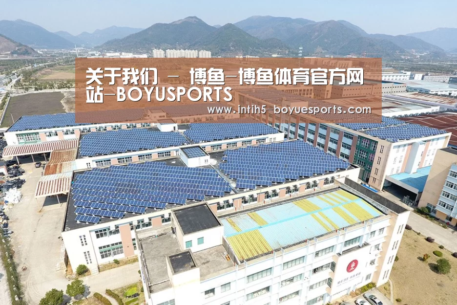 案例展示三